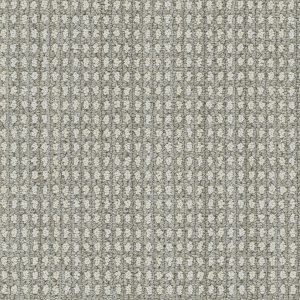 DreamWeaver BRUNSWICK - 8274 Dew Drops