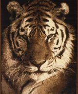 United Weavers Legends Multi Rug
