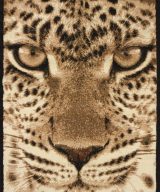 United Weavers Legends Multi Rug