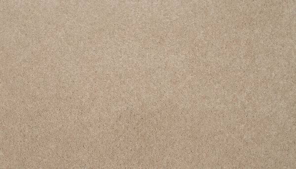 Mohawk Tonal Chic II - 957 Night Shadows
