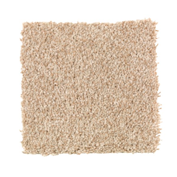 Tonal Chic I - 742 Beechnut