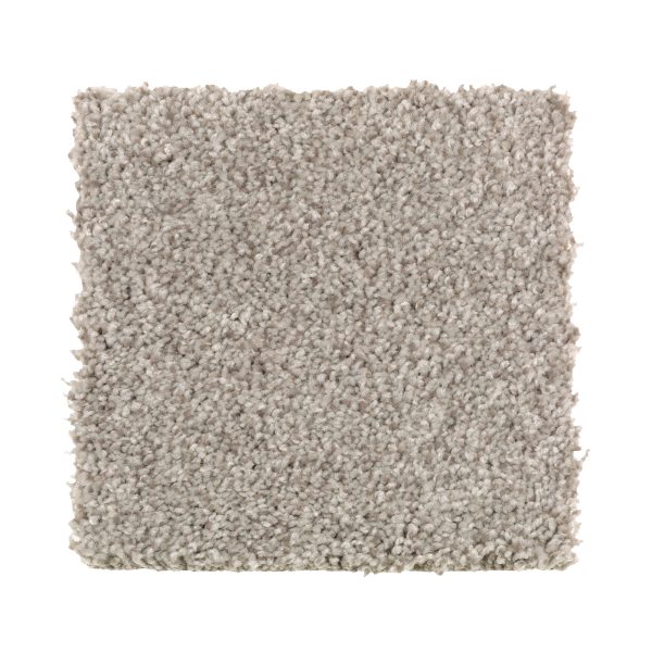 Tonal Chic I - 819 Taupe Illusion