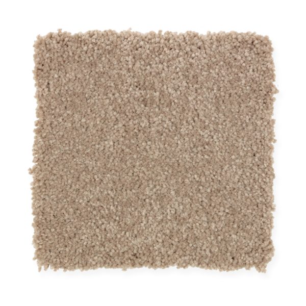 Elegant Appeal I - 832 Dash O'spice