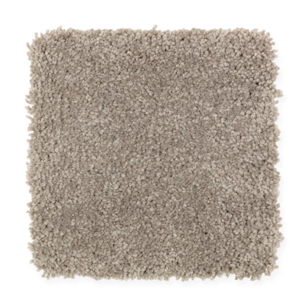 Elegant Appeal III - 820 Tomorrow's Taupe