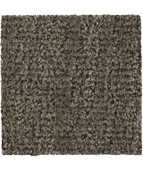 Mohawk Stylish Trend - 840 Tinsel