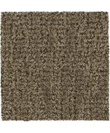 Mohawk Stylish Trend - 863 Hickory
