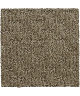 Mohawk Stylish Tones - 863 Hickory