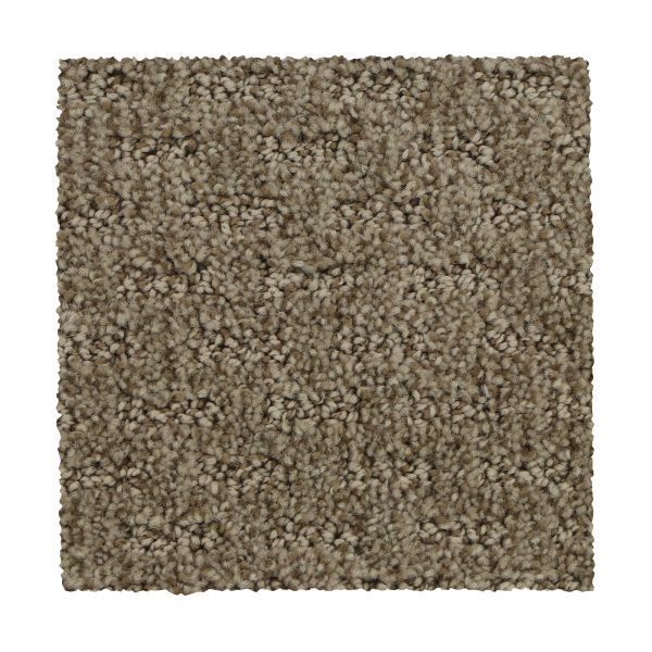 Mohawk Stylish Tones - 863 Hickory