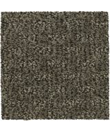 Mohawk Stylish Tones - 869 Rock Garden