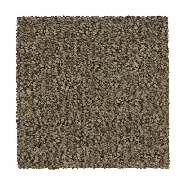 Mohawk Stylish Tones - 883 Malted