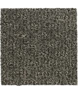 Mohawk Stylish Tones - 990 Atrium