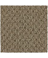 Mohawk Cozy Classic - 732 Natural