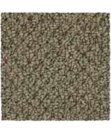 Mohawk Cozy Classic - 829 Taupe Whisper