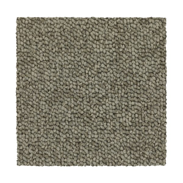Mohawk Chic Comfort - 829 Taupe Whisper