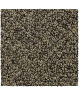 Mohawk Pure Admiration - 722 Warm Neutral