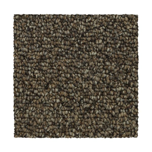 Mohawk Pure Admiration - 832 Copper Tones