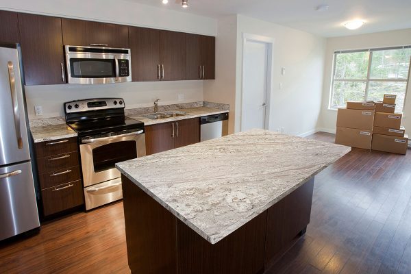 MSI Granite Countertops - Andino White