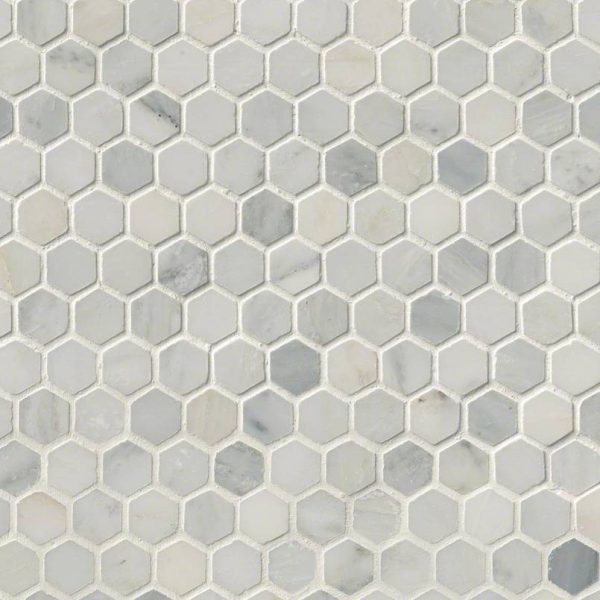 MSI Arabescato Carrara 1" Hexagon Honed