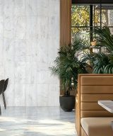 MSI Arabescato Venato Milano Ribbo 12x24 Honed