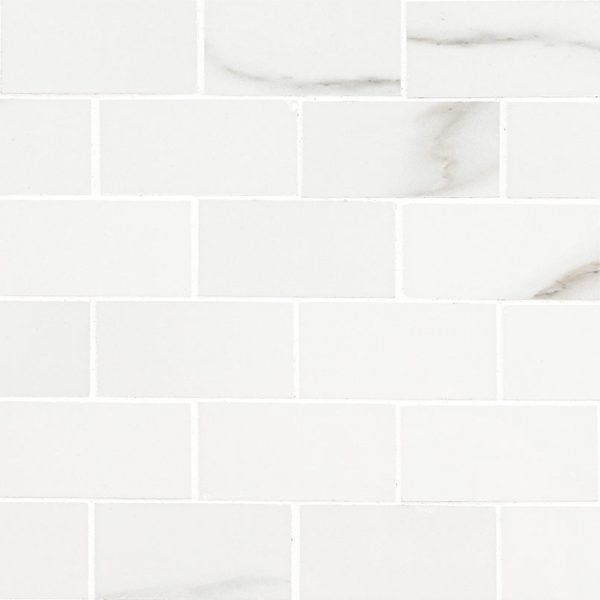 MSI Aria Bianco 2X4 Mosaic Polished