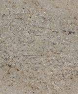MSI Granite Countertops - Astoria