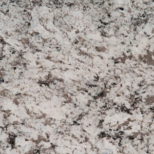 MSI Granite Countertops - Avalon White