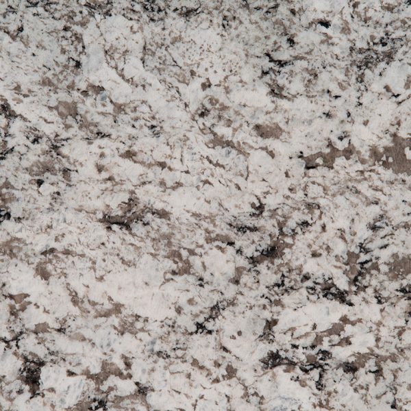 MSI Granite Countertops - Avalon White