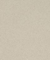 MSI Quartz - Bayshore Sand