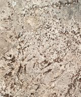 MSI Granite Countertops - Bianco Antico