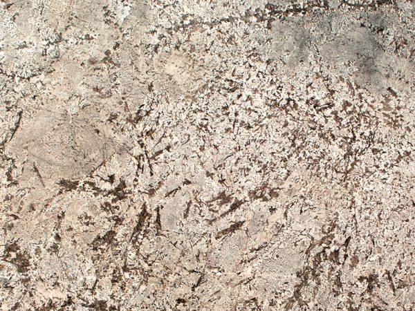 MSI Granite Countertops - Bianco Antico