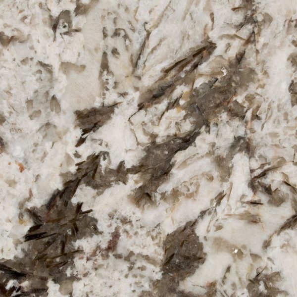 MSI Granite Countertops - Bianco Antico