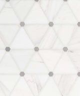 MSI Bianco Dolomite Pinwheel Polished