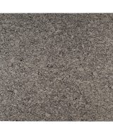 MSI Granite Countertops - Bianco Frost