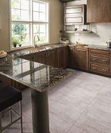 MSI Granite Countertops - Black Forest