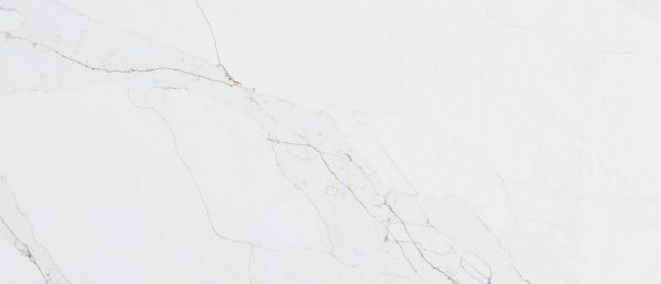 MSI Quartz - Calacatta Abezzo