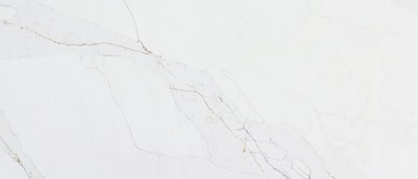 MSI Quartz - Calacatta Abezzo