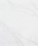 MSI Quartz - Calacatta Abezzo