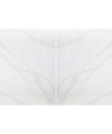 MSI Quartz - Calacatta Abezzo