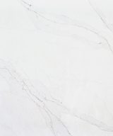 MSI Quartz - Calacatta Abezzo