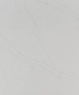 MSI Quartz - Calacatta Alto