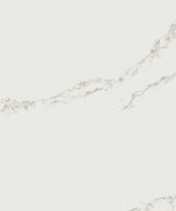 MSI Quartz - Calacatta Arno