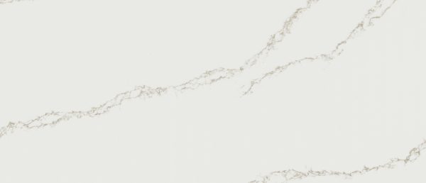 MSI Quartz - Calacatta Arno