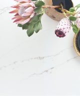 MSI Quartz - Calacatta Arno