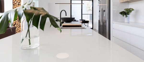 MSI Quartz - Calacatta Botanica