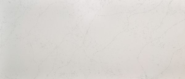 MSI Quartz - Calacatta Botanica
