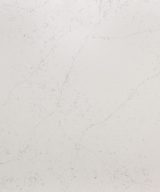 MSI Quartz - Calacatta Botanica