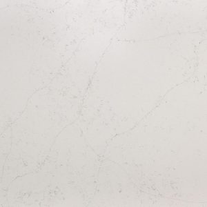 MSI Quartz - Calacatta Botanica