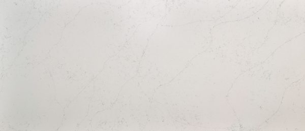 MSI Quartz - Calacatta Botanica