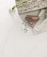 MSI Quartz - Calacatta Botanica