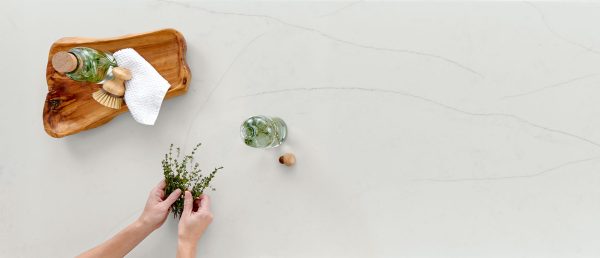 MSI Quartz - Calacatta Clara